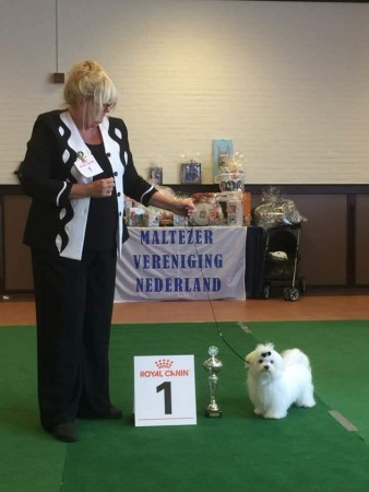 Admire Treasure Dominion Eig: C.M. Vermolen