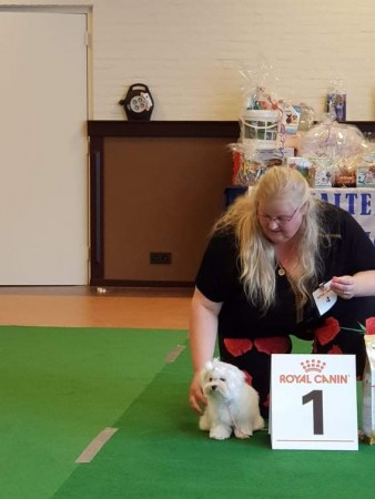 Happiness Thalia From Skey's Sunny           Eig: M. Guldenmond - van Beijeren