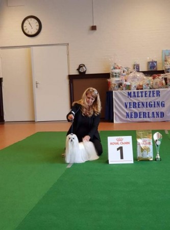 Jambo Kiara Of Erwin’s Dream Lovers Eig: E.C.A.M. Manders & A.P.M. Rietkerk